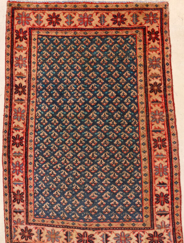 Wool Mir