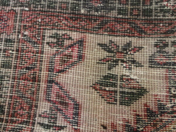 Wool Perisan - Image 3