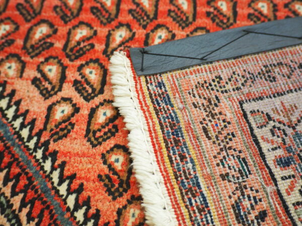 Mir - Image 3